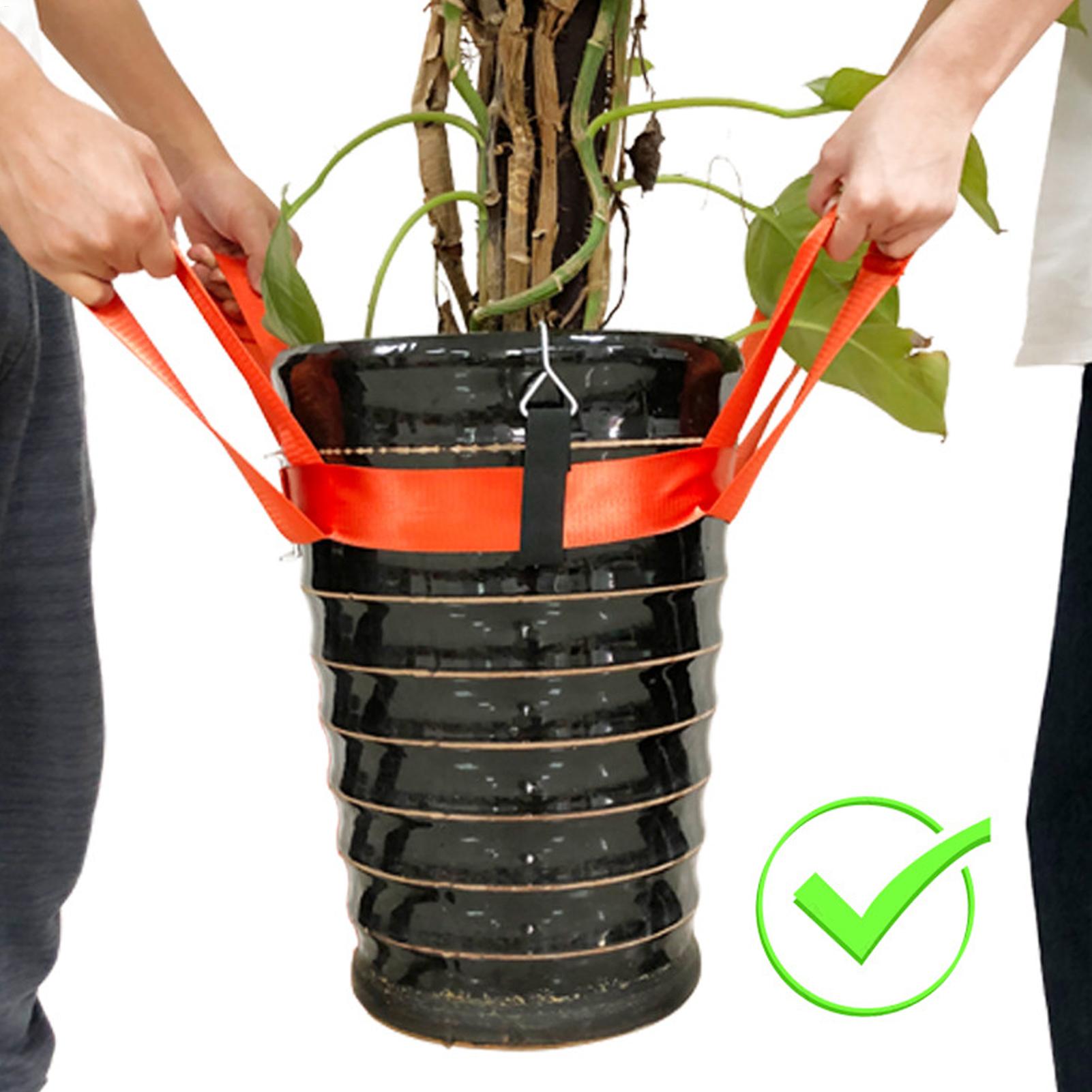 造園用リフティングストラップ鉢植え移動用具耐久性のある庭石運 - Lifting Belt のレビューと価格